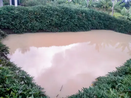 Water pans/fishponds