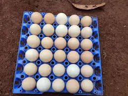 Kienyeji Eggs