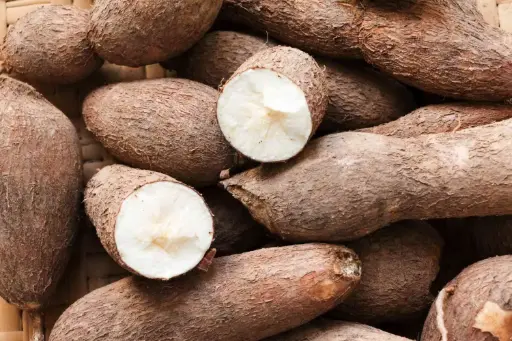 Cassava